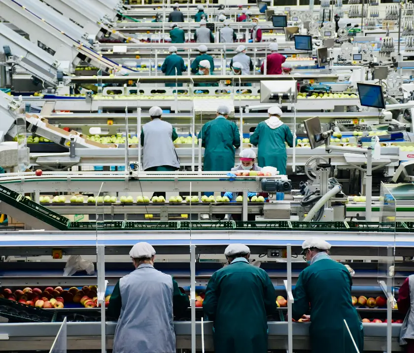 Factory Packer, Production Line Assistant